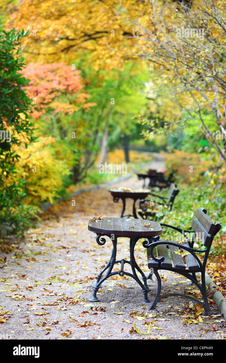 Parkbank im Herbst einsam Einsamkeit Leere fallen Stockfoto