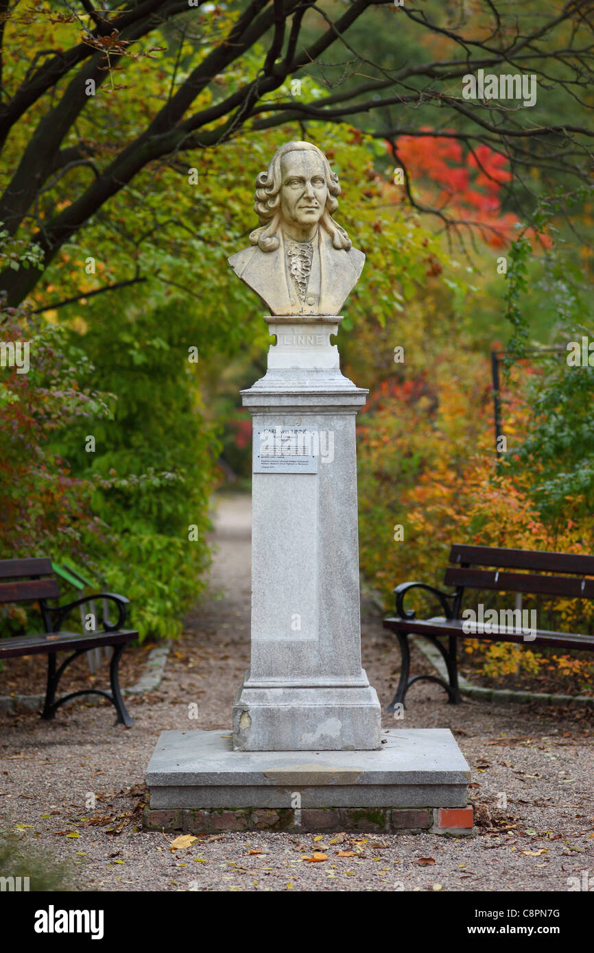 Karl von Linne Denkmal Botanischer Garten Breslau Polen Stockfoto