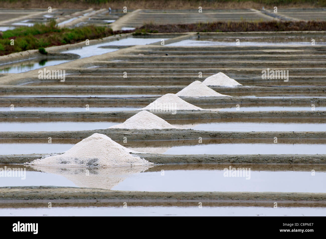 Fleur de Sel (Hand geerntet Meersalz) überflog das Salz Betten in der Nähe von Pont d ' Armes im Departement Loire-Atlantique. Stockfoto