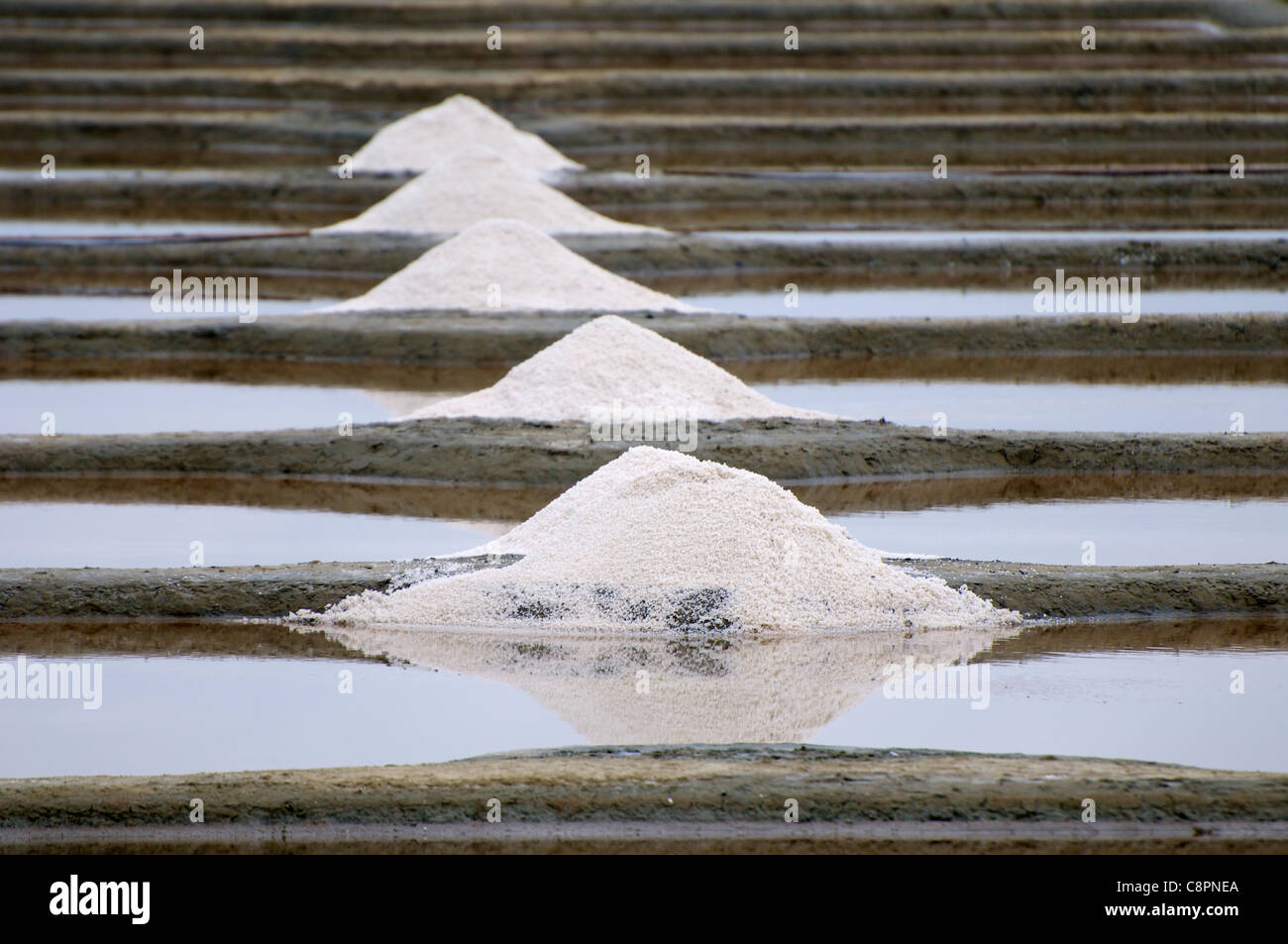 Fleur de Sel (Hand geerntet Meersalz) überflog das Salz Betten in der Nähe von Pont d ' Armes im Departement Loire-Atlantique. Stockfoto