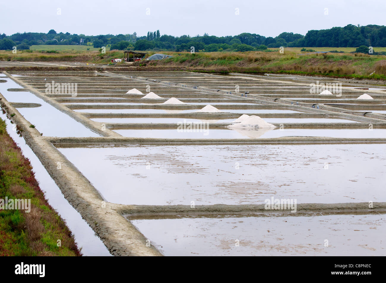 Fleur de Sel (Hand geerntet Meersalz) überflog das Salz Betten in der Nähe von Pont d ' Armes im Departement Loire-Atlantique. Stockfoto