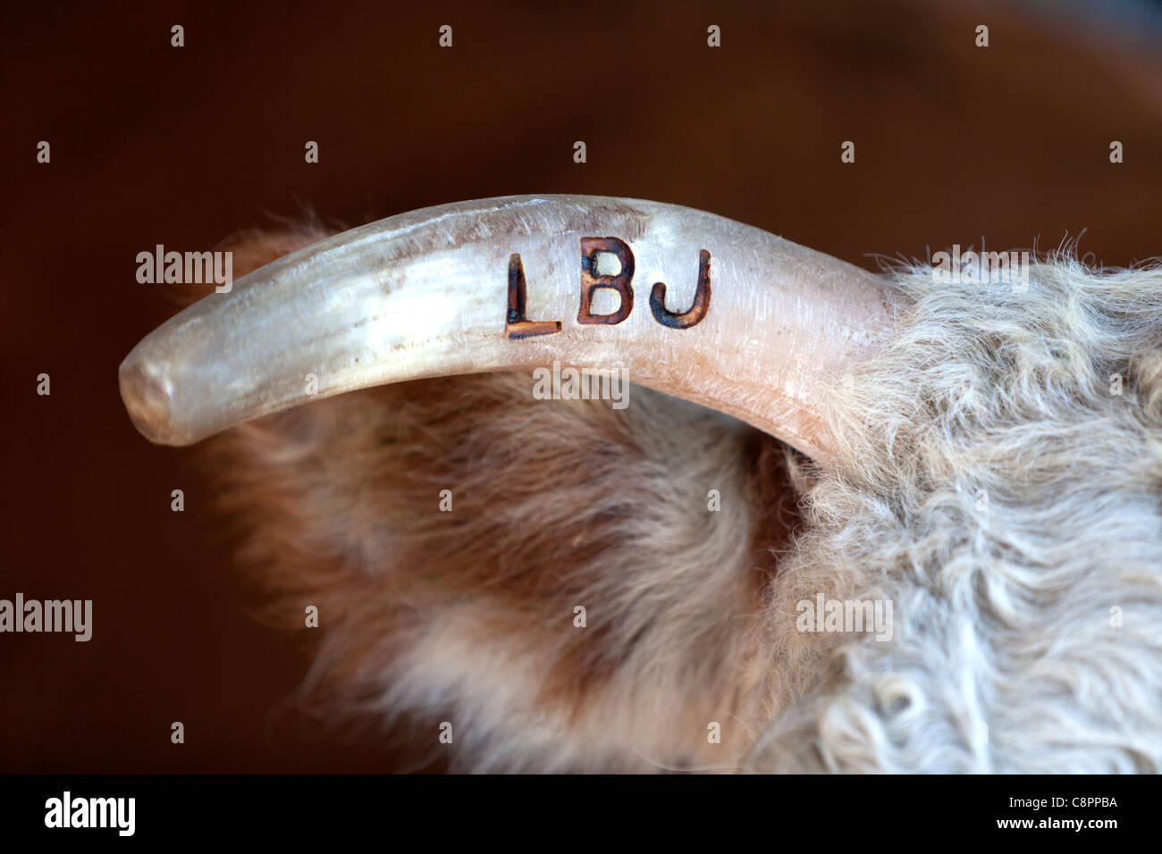 Hornmarke 'LBJ' Lyndon Baines Johnson. Stockfoto
