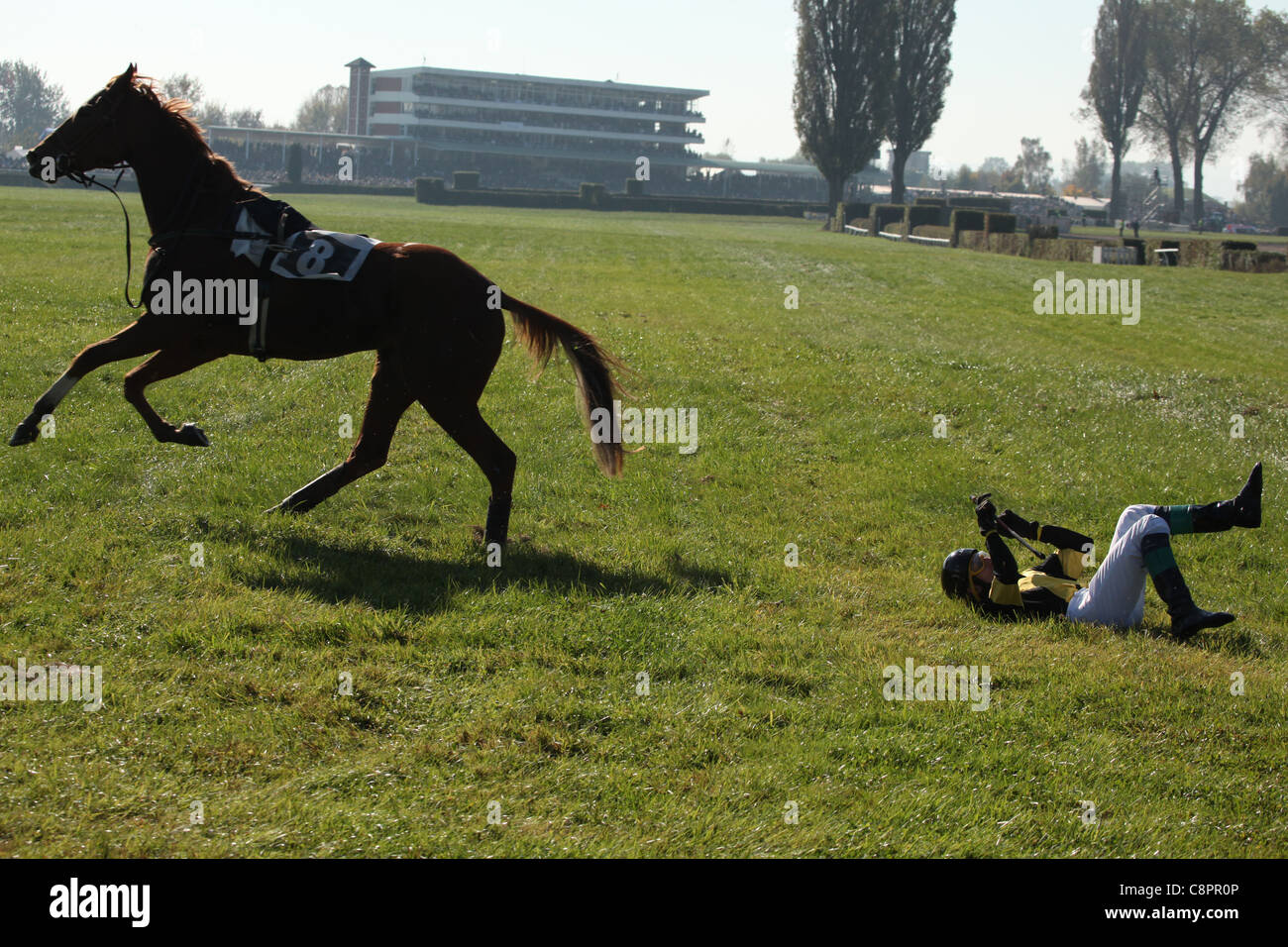 Berühmte jährliche Steeplechase Querfeldein laufen Velka Pardubicka in Pardubice, Tschechische Republik am 10. Oktober 2010. Stockfoto