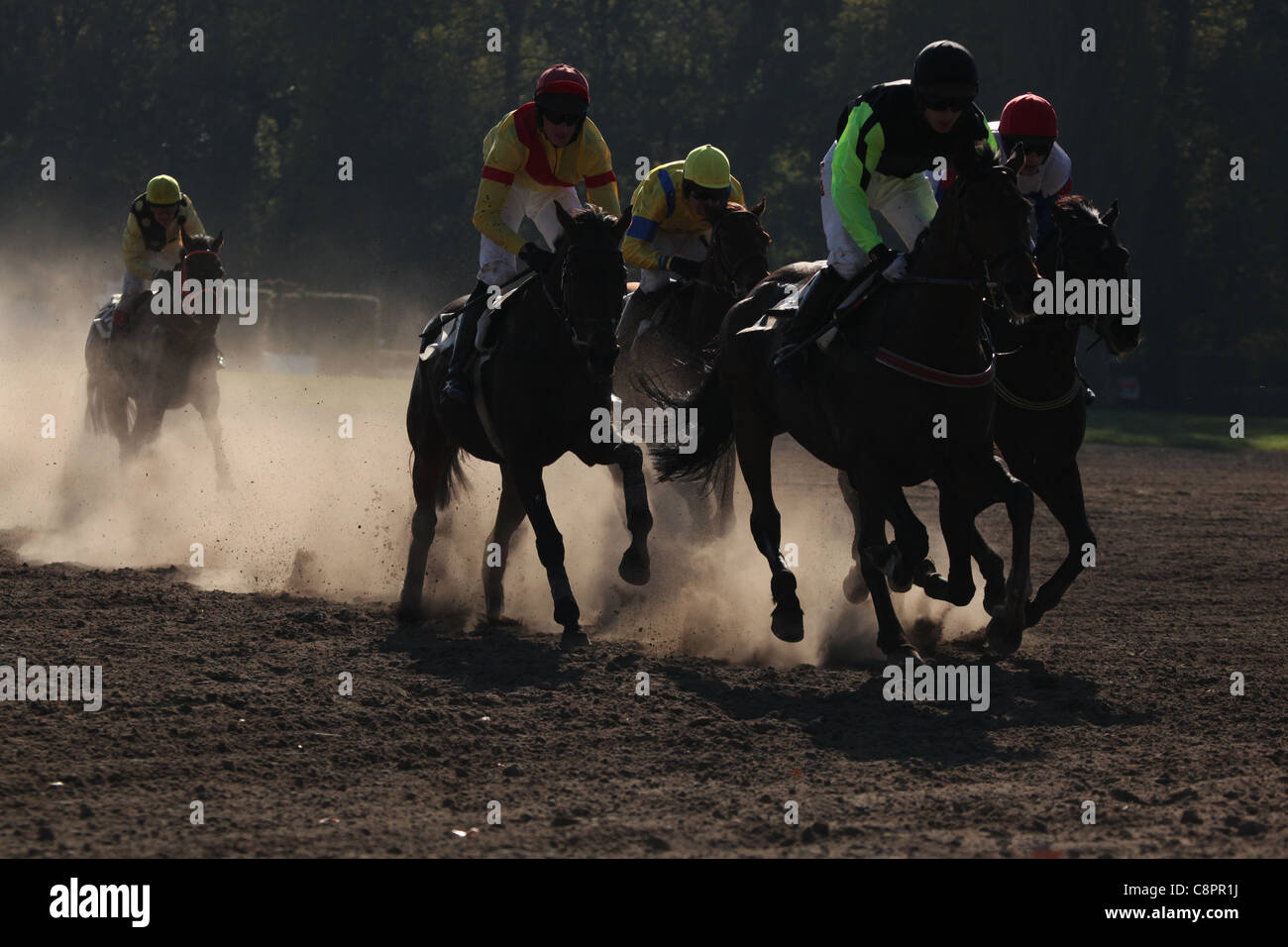 Berühmte jährliche Steeplechase Querfeldein laufen Velka Pardubicka in Pardubice, Tschechische Republik am 10. Oktober 2010. Stockfoto