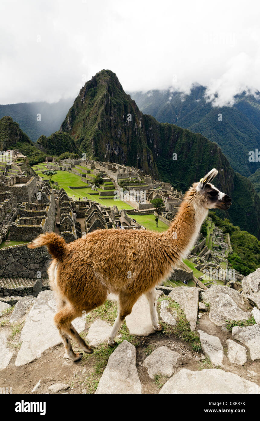Region Machu Picchu Cusco Peru Stockfoto