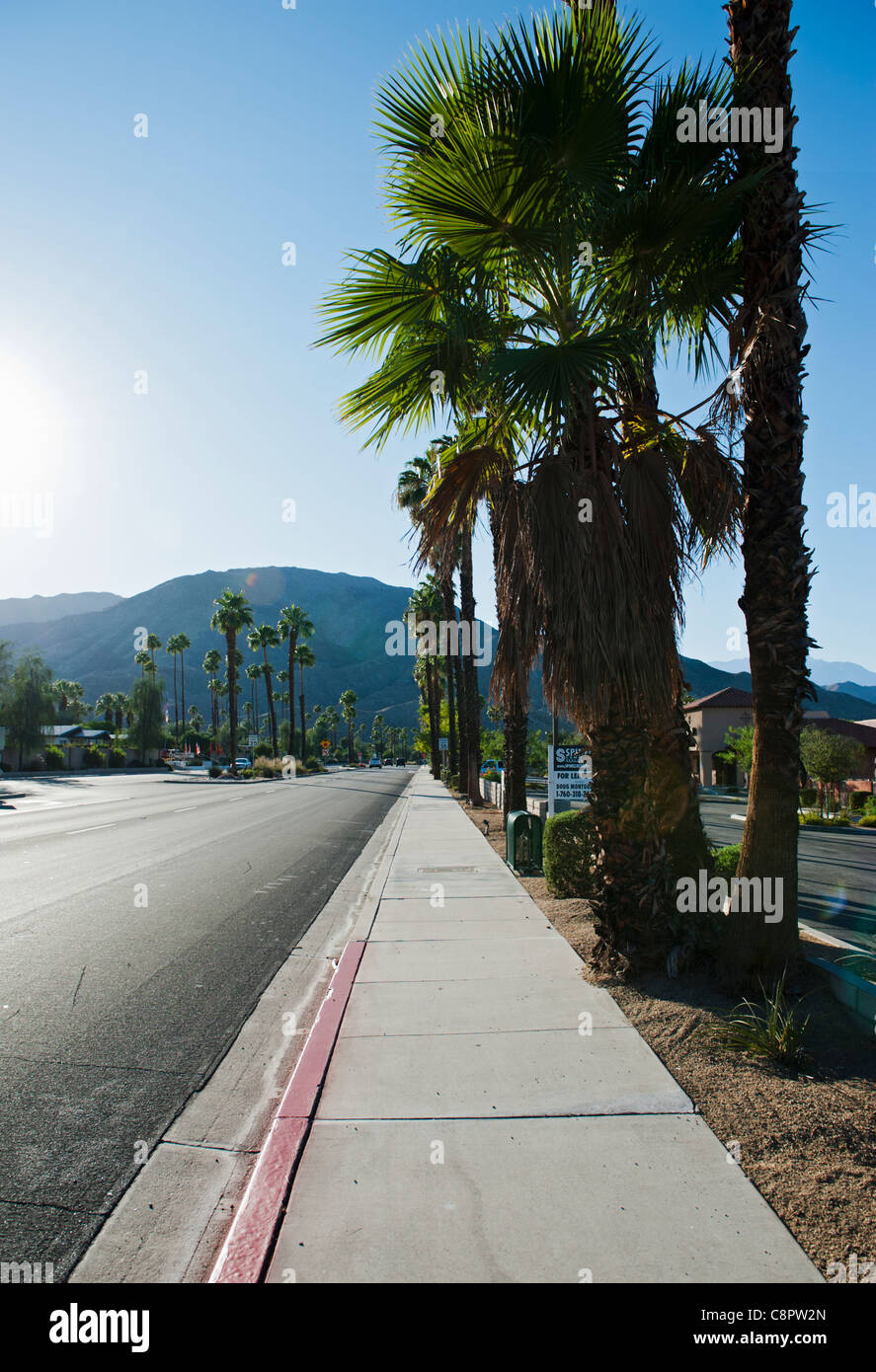 eine Stadtstraße in Palm Desert in Kalifornien mit Palmen Bäume einen Berg im Hintergrund Stockfoto