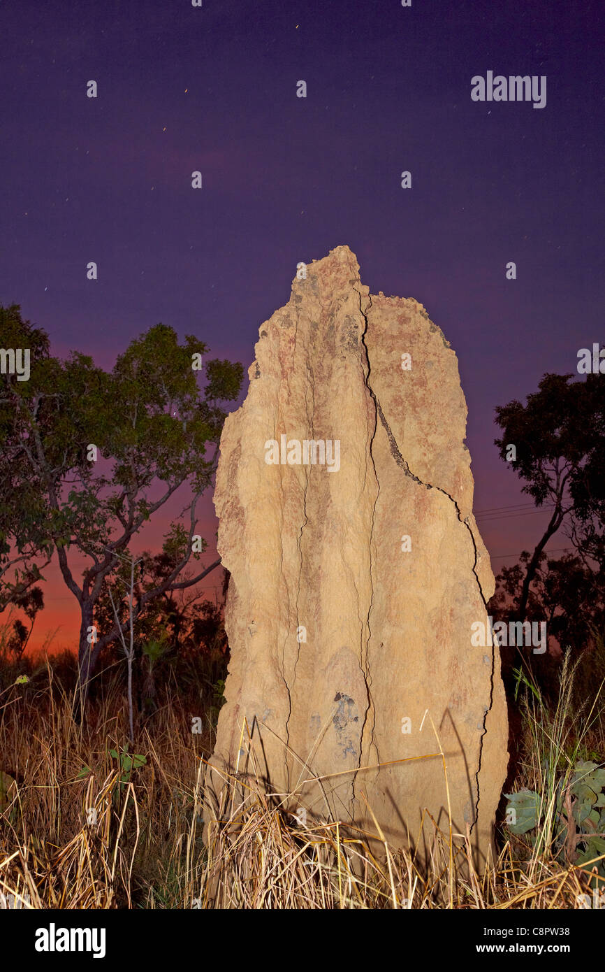 Termite Hügel an der Dämmerung, in der Nähe von Litchfield National Park, Northern Territory, Australien Stockfoto