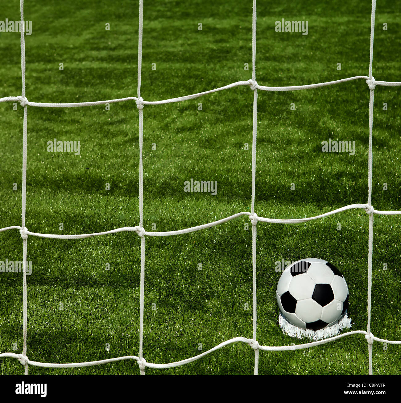 Fußball auf dem grünen Rasen Stockfoto