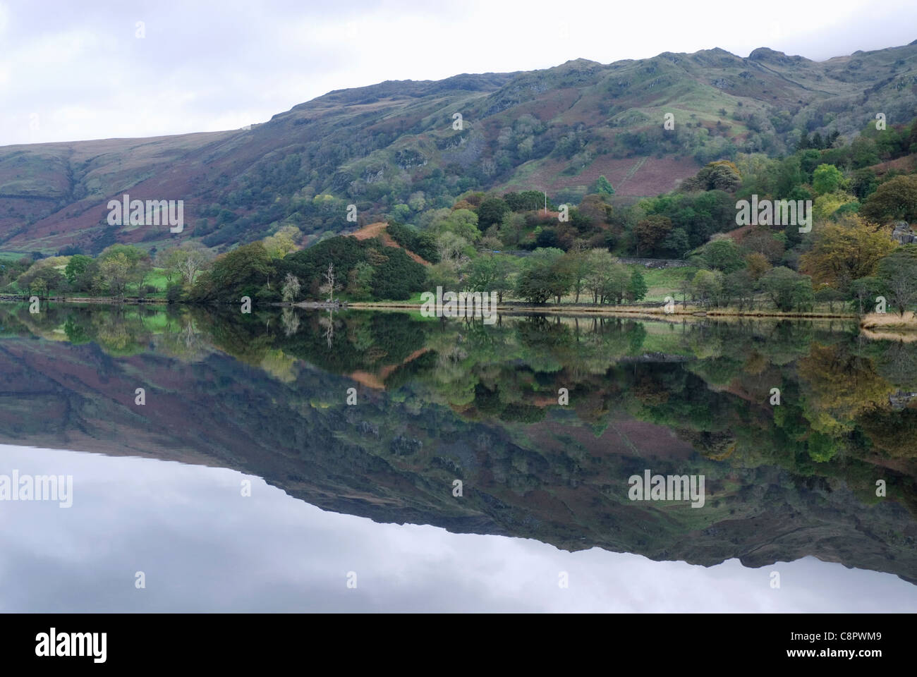 Großbritannien, Wales, Snowdonia, Llyn Gwynant Bergsee in der Nähe von Beddgelert Stockfoto