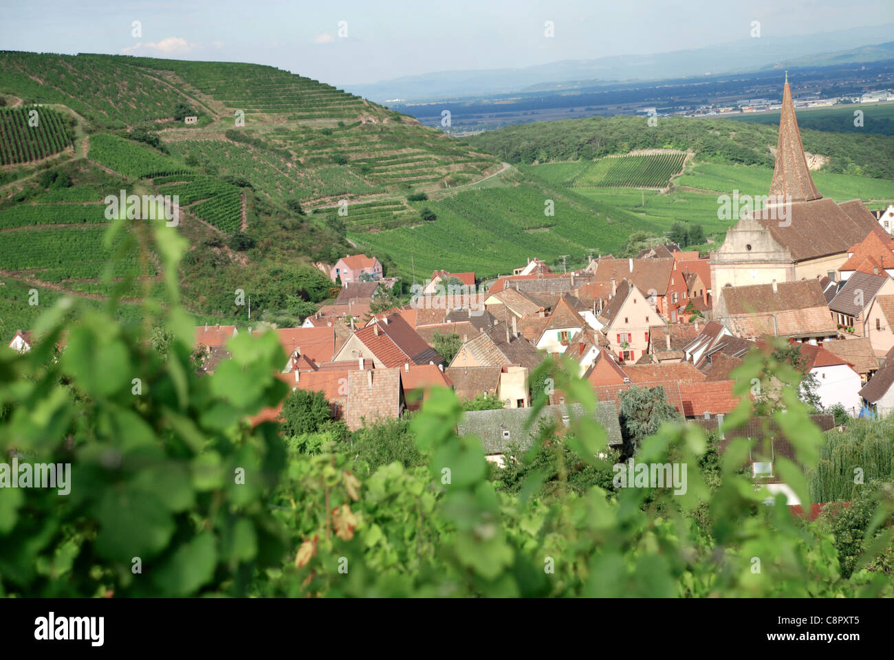 Frankreich, Elsass, Niedermorschwihr, Blick von der Dachterrasse des Dorfes, gesehen vom Weinberg Stockfoto