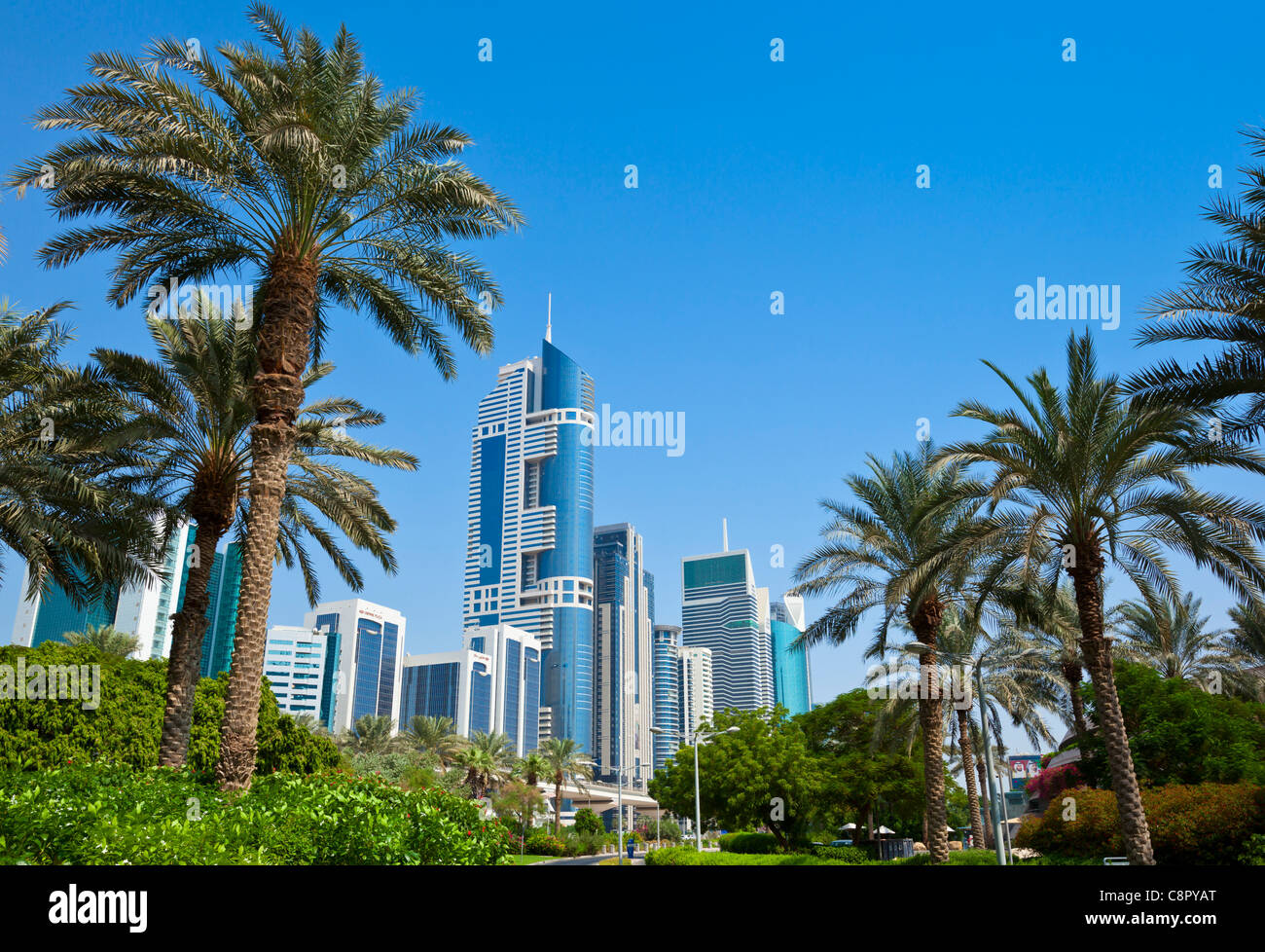 Skyline von Downtown Hochhaus Wolkenkratzer mit Palmen Bäume Dubai City, Vereinigte Arabische Emirate, Vereinigte Arabische Emirate, Naher Osten Stockfoto