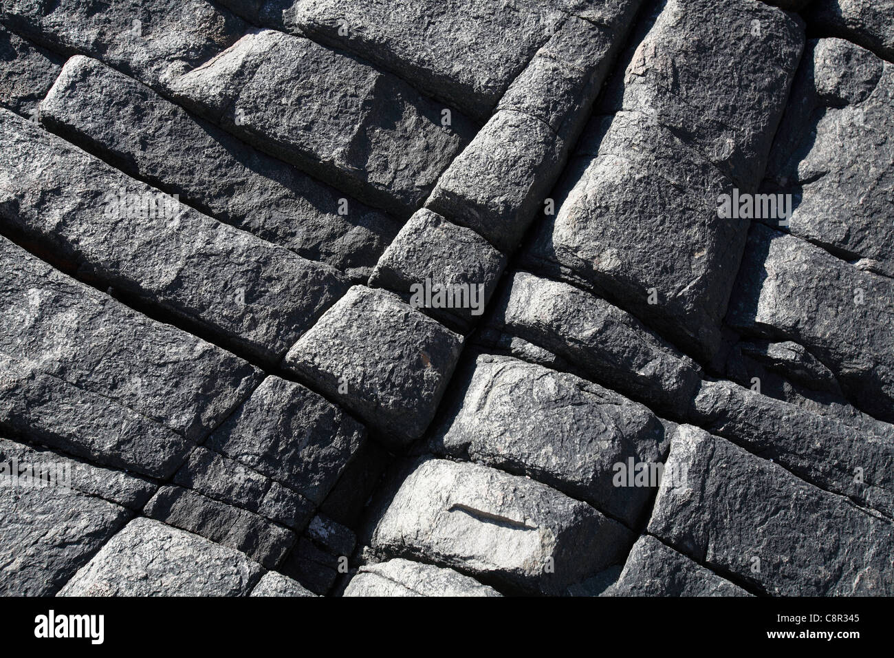 Basalt-Rock-Formation, Acadia National Park, Maine, USA Stockfoto