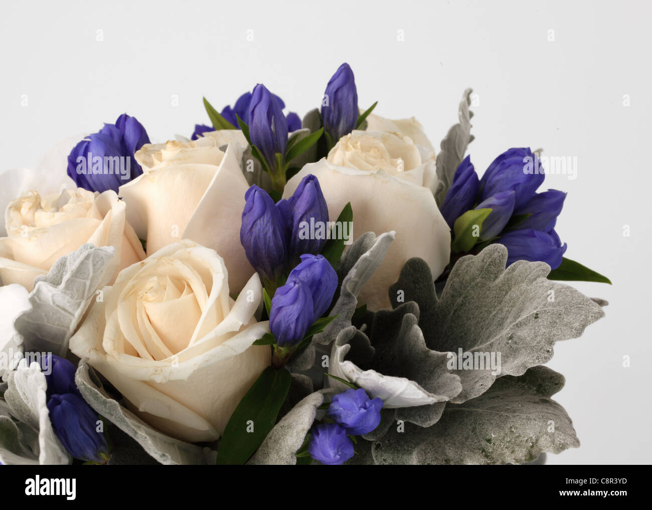 Eine Nahaufnahme von einem bunten Blumenstrauß. Sahne-Rosen, 1 Blaue Hortensie, weiße Phalaenopsis, unbekannte lila Knospen. Stockfoto