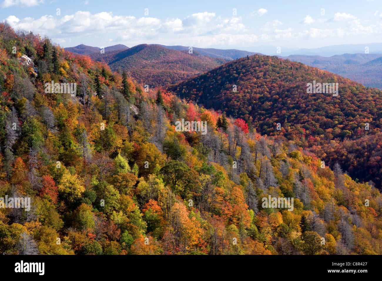 Herbst in Blue Ridge Mountains - in der Nähe von Asheville, North Carolina USA Stockfoto