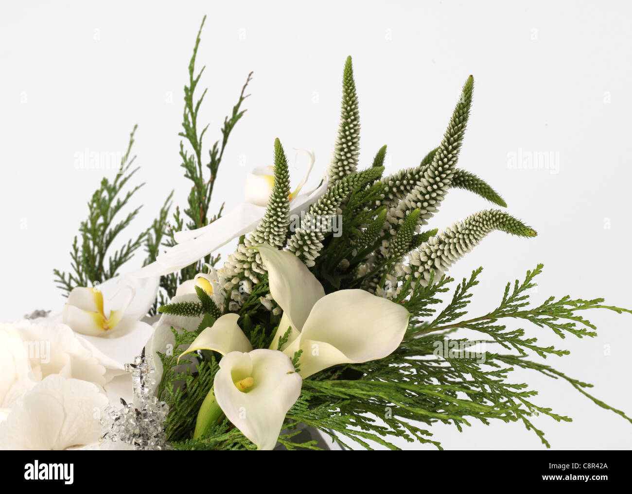 Eine Nahaufnahme von einem weißen Blumenstrauß. Weiße Calla Lilien, weiße Veronica [Hebe], grüne Wacholder Stockfoto
