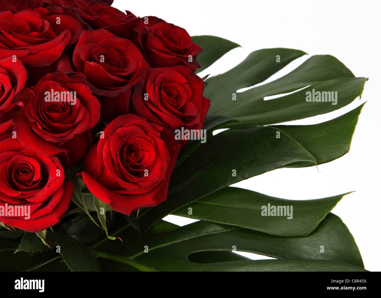 Eine Nahaufnahme von einem bunten Blumenstrauß. Rote Rosen und tropischen Blättern. Stockfoto