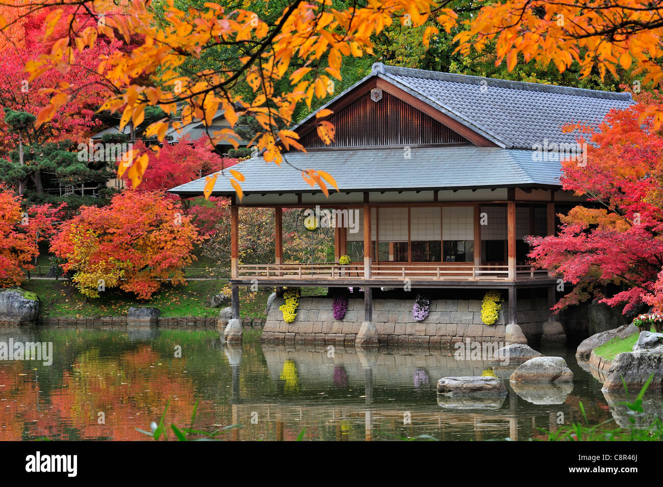 Traditionellen Pavillon / Teehaus im japanischen Garten mit Baum Laub im Herbst rote Farben in der Stadt Hasselt, Belgien Stockfoto