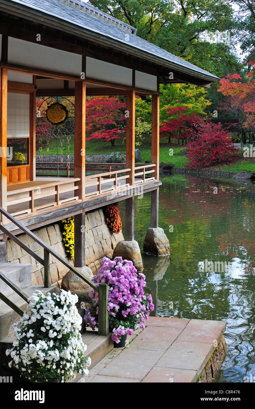 Pavillon Teehaus Im Japanischen Garten Mit Baum Laub Im Herbst