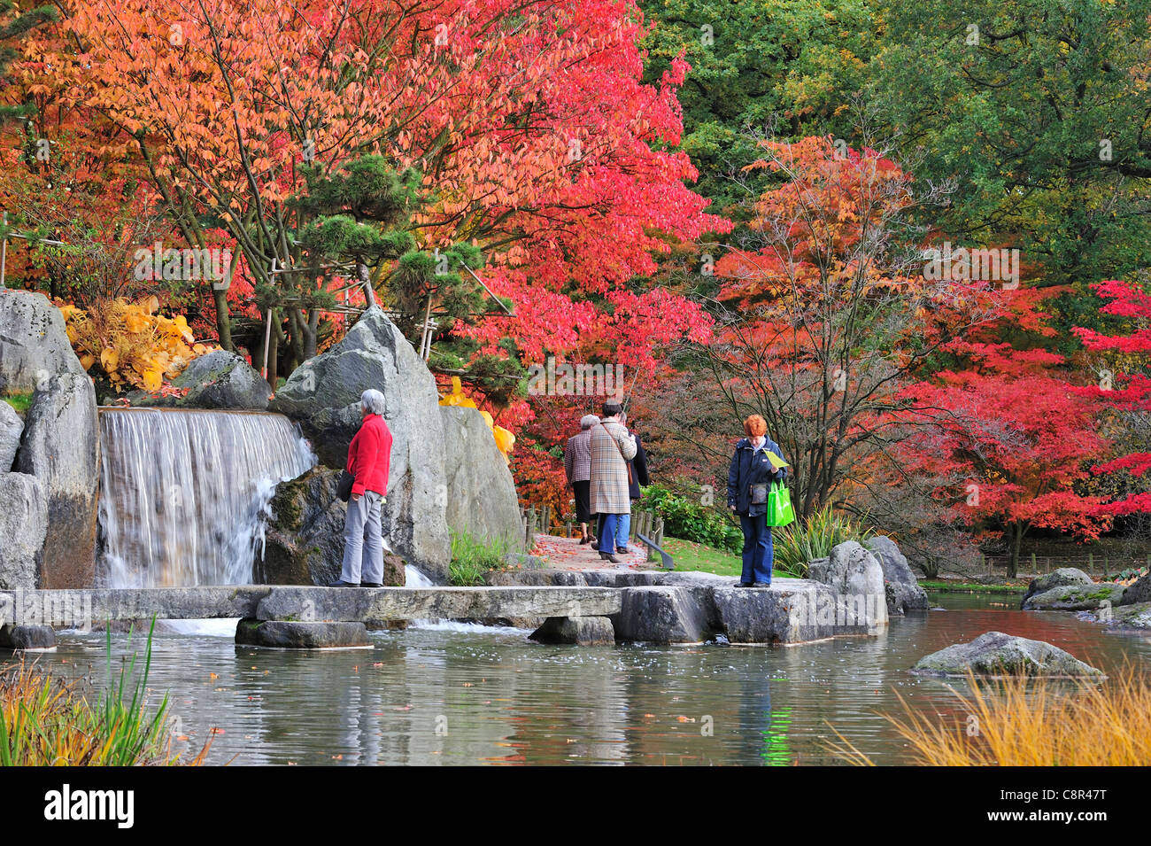 Touristen Die Japanischen Garten Mit Baum Laub In Rote Herbstfarbung In Der Stadt Hasselt Belgien Stockfotografie Alamy