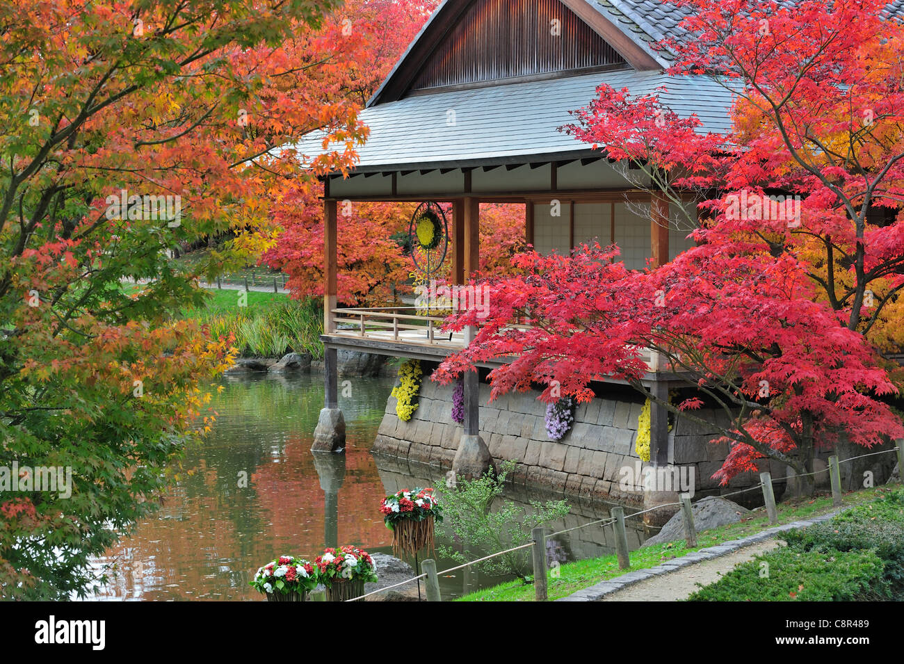 Traditionellen Pavillon / Teehaus im japanischen Garten mit Baum Laub im Herbst rote Farben in der Stadt Hasselt, Belgien Stockfoto
