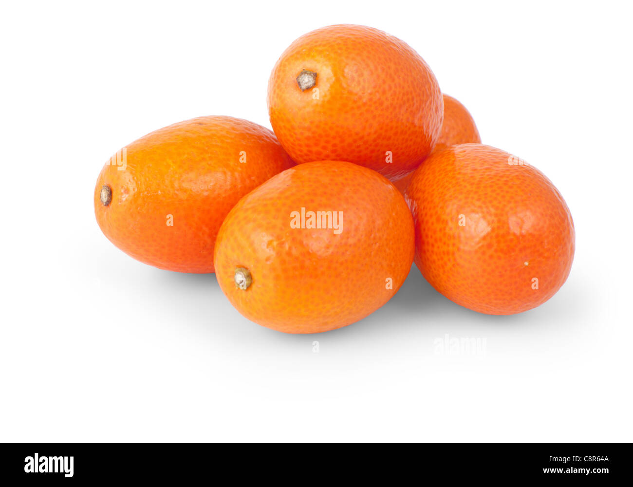 Kumquat isoliert auf weißem Hintergrund hautnah Stockfoto