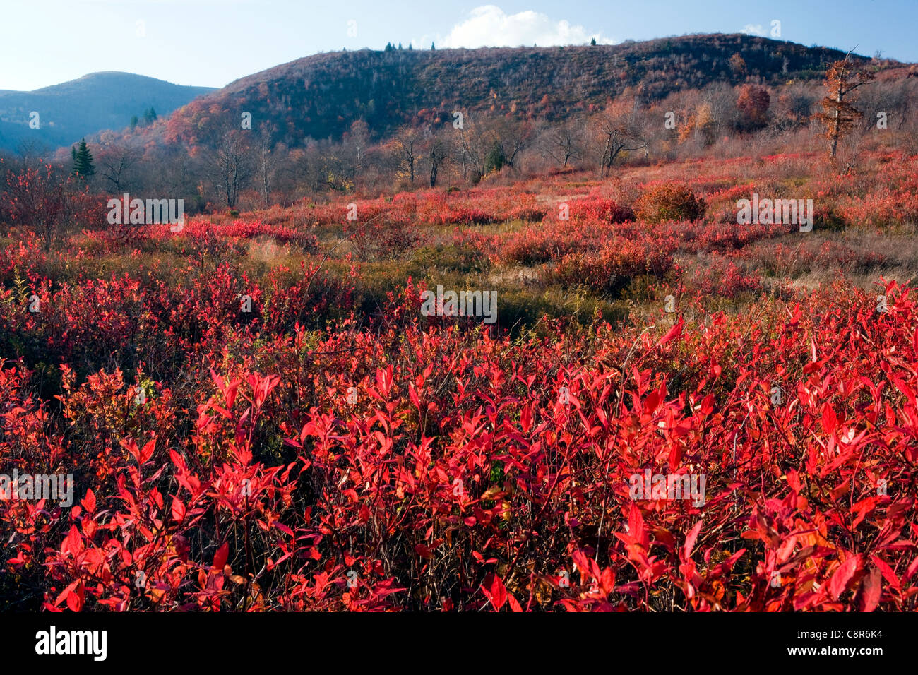 Friedhof-Felder - Blue Ridge Parkway - in der Nähe von Asheville, North Carolina USA Stockfoto