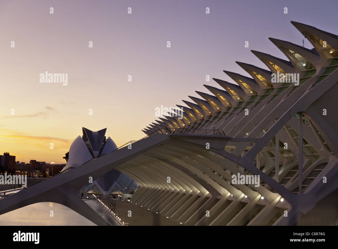 Príncipe Felipe Wissenschaftsmuseum, das Palau de Les Arts Reina Sofia, Valencia, Spanien Stockfoto