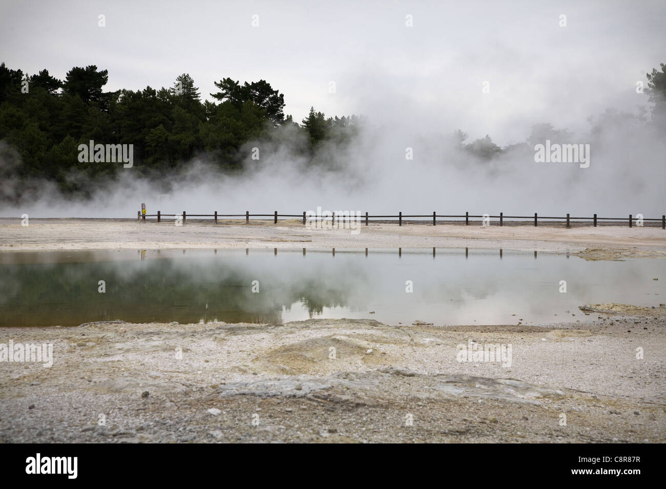 Dampfende Thermalbecken im Wai-o-Tapu, Rotorua, Neuseeland Stockfoto