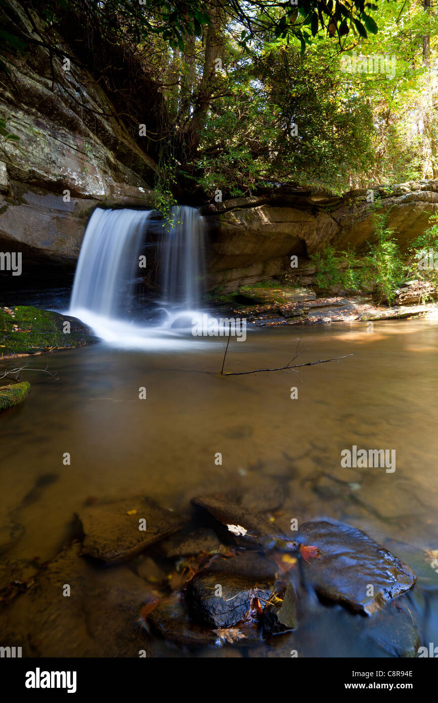 Raper Creek Falls Stockfoto