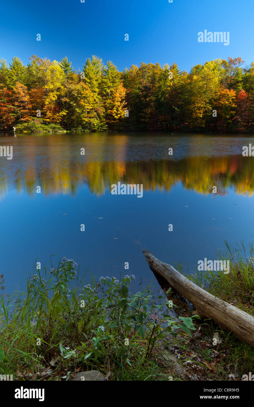Herbst am See Dockery, GA. Stockfoto