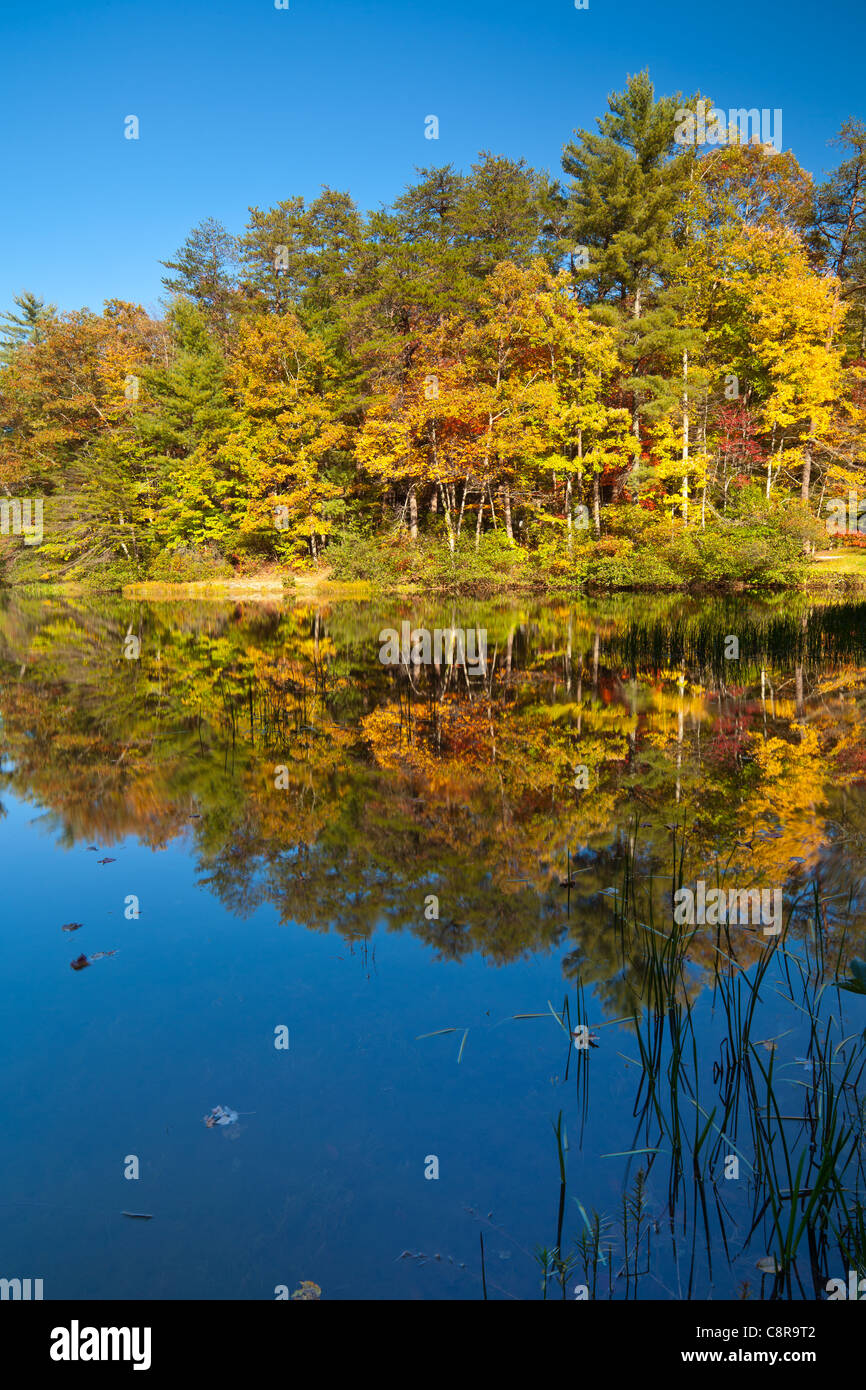 Herbst am See Dockery, GA. Stockfoto