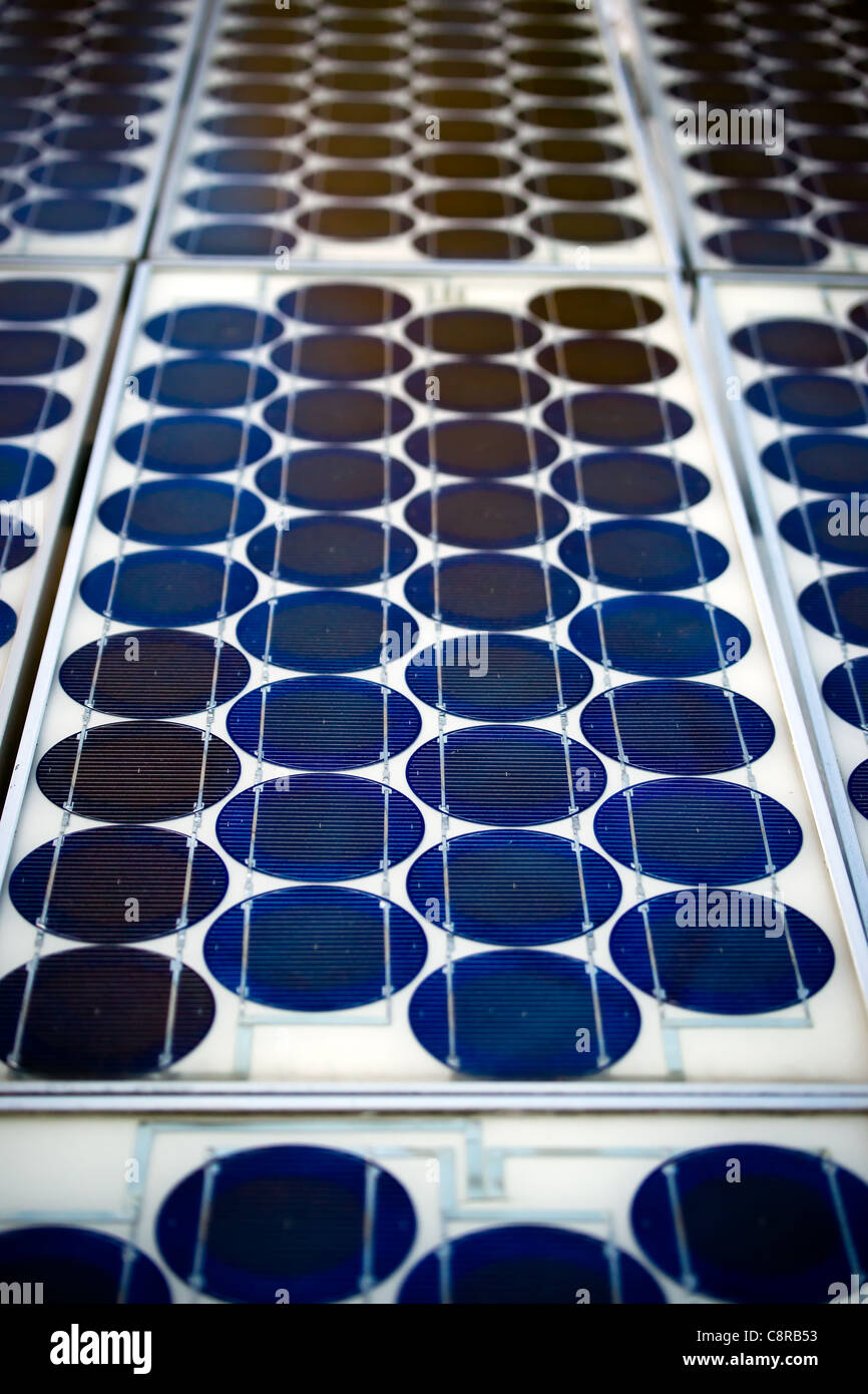 Eine Nahaufnahme Bild aus einer Reihe von Photovoltaik-Zellen in einer Reihe von Sonnenkollektoren. Stockfoto