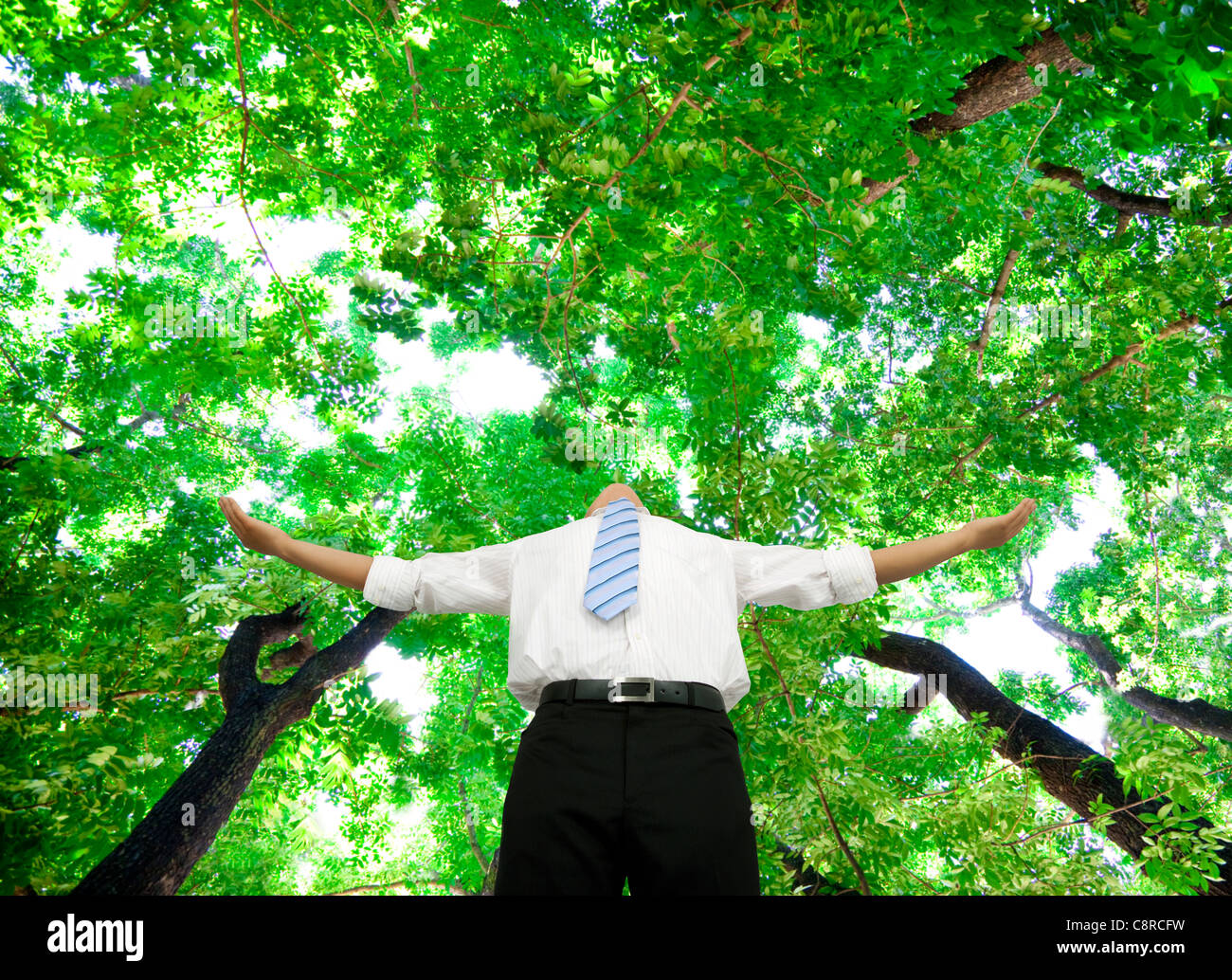 entspannte Geschäftsmann stehen im Wald Stockfoto