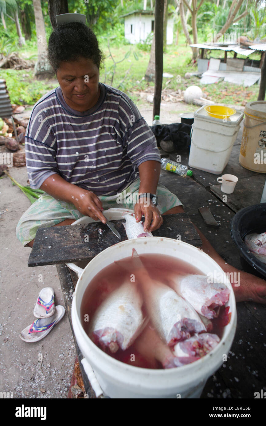Fisch-Mahlzeit auf TUvalu, Insel im Pazifik Stockfoto