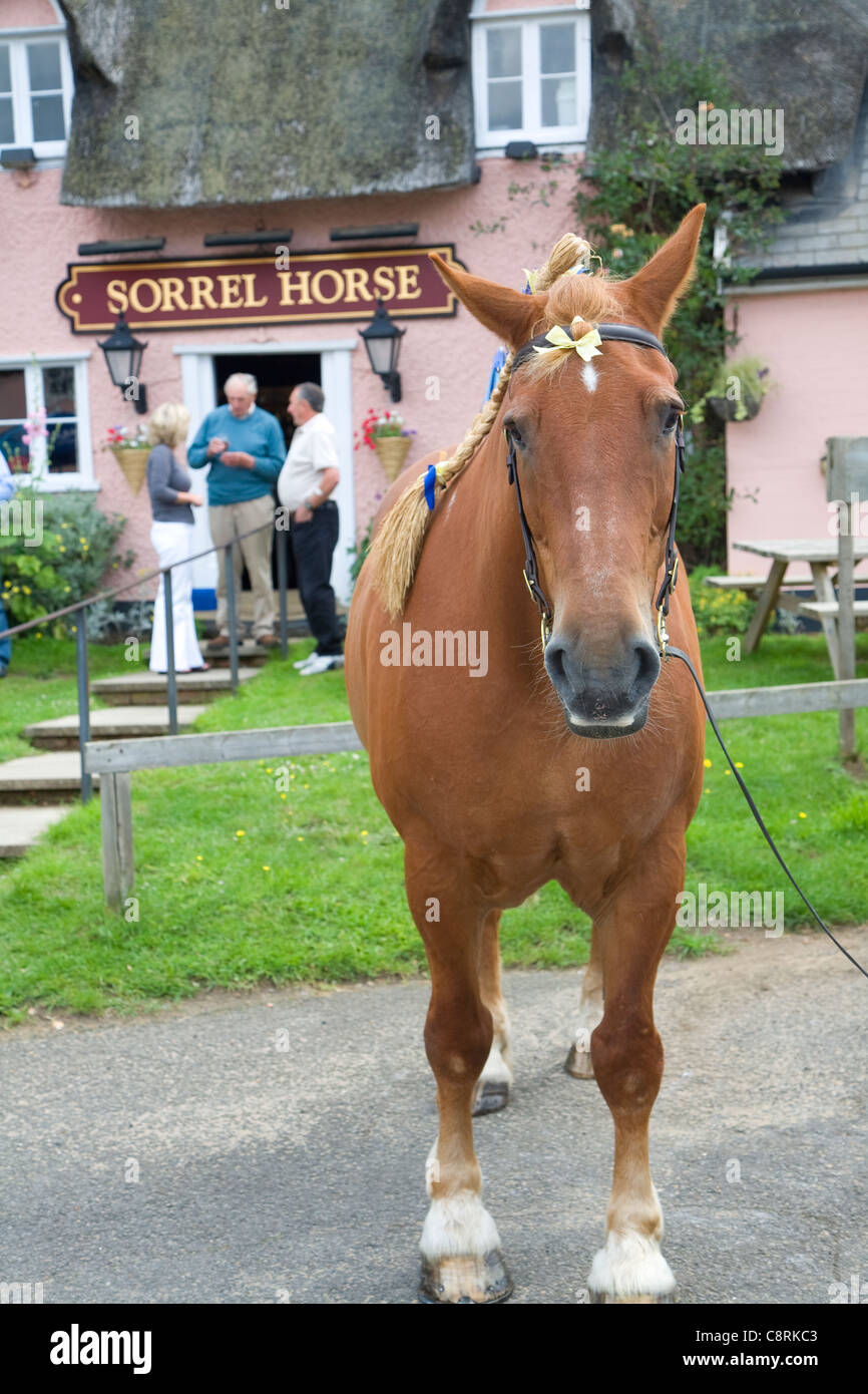 Suffolk Punch Pferd außerhalb der Sauerampfer Horse Pub, Shottisham, Suffolk, England. Stockfoto