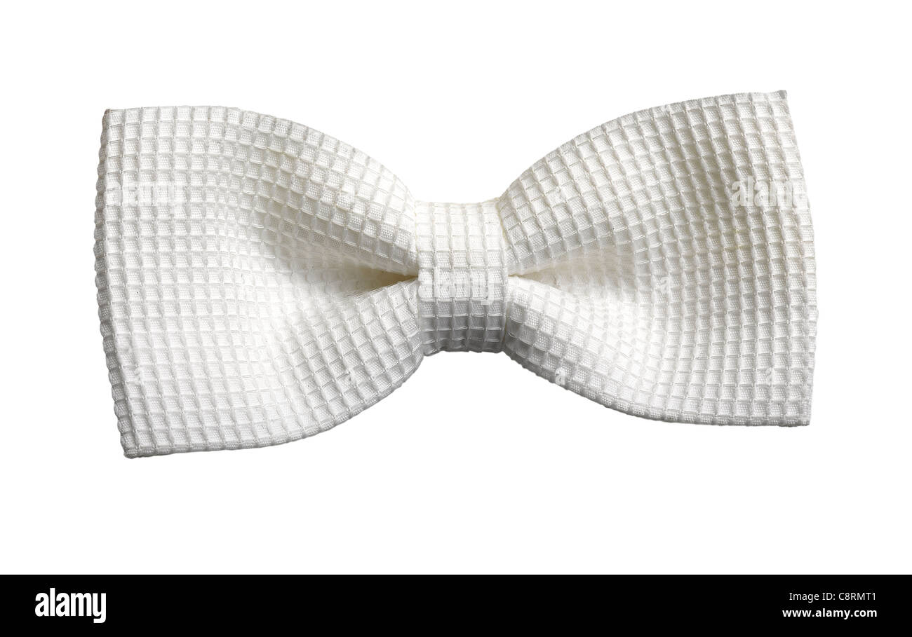 eine weiße Fliege auf weiß Stockfoto