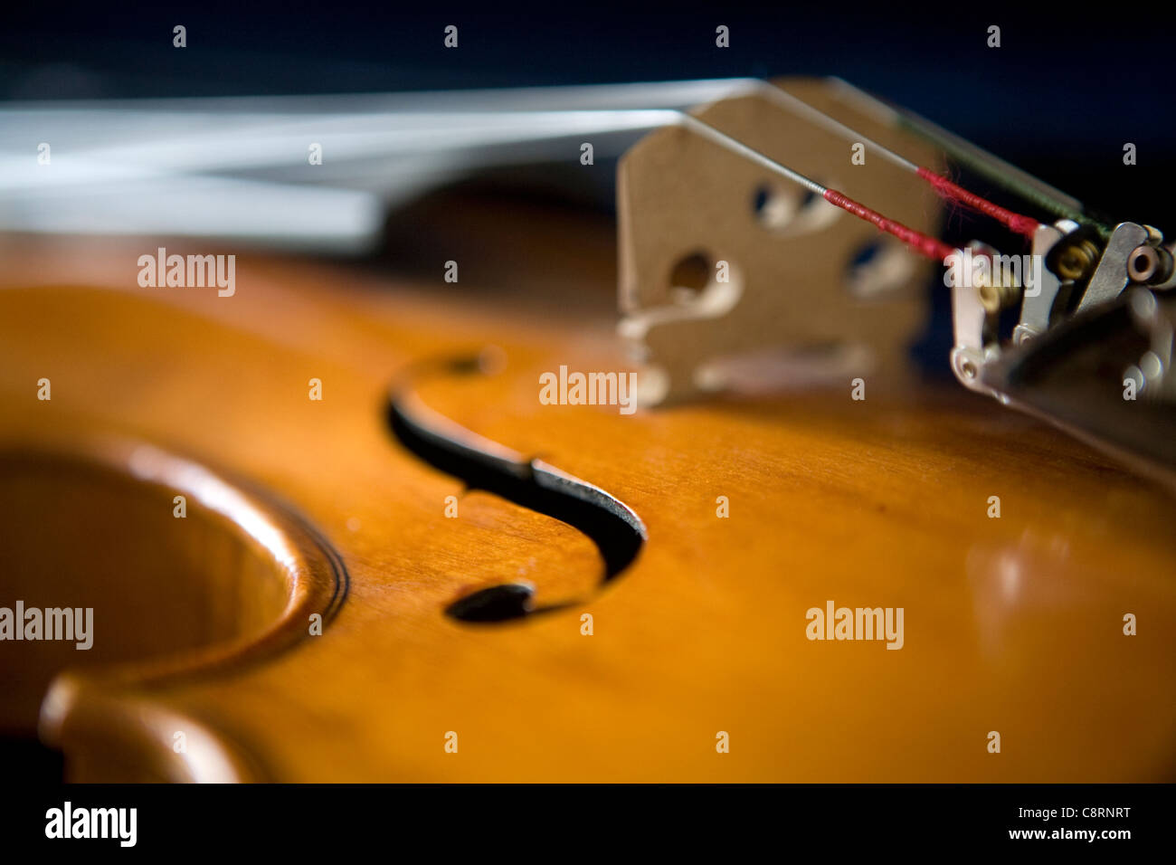 Nahaufnahme der Brücke der Familie Viola Violine, klassische Musikinstrument, Studio Fotografie Stockfoto