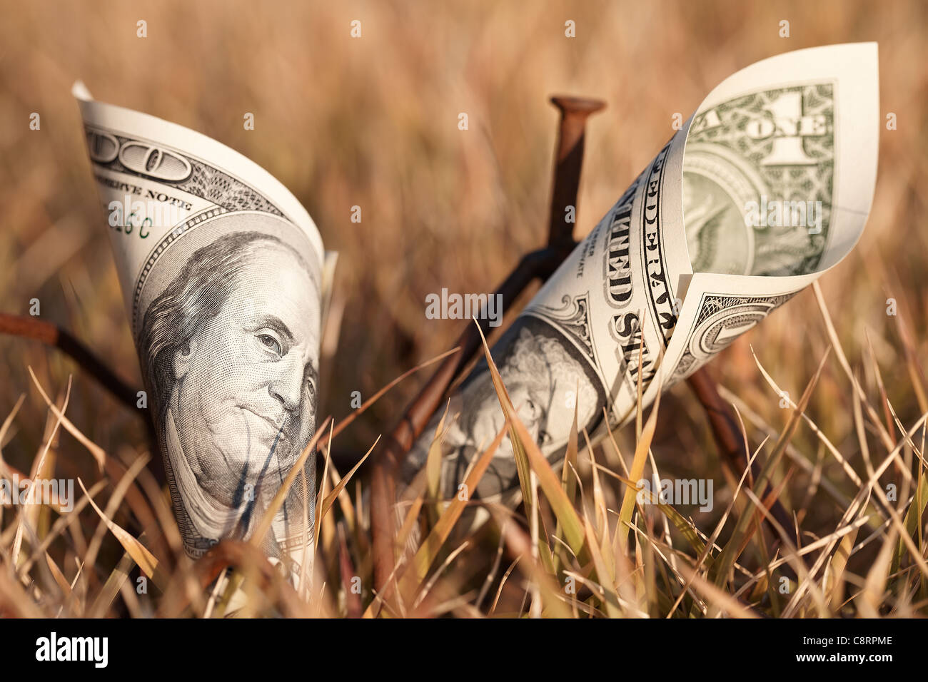 Nahaufnahme der gefaltete Banknote zusammen mit Nägeln gehalten getrocknetes Gras Stockfoto