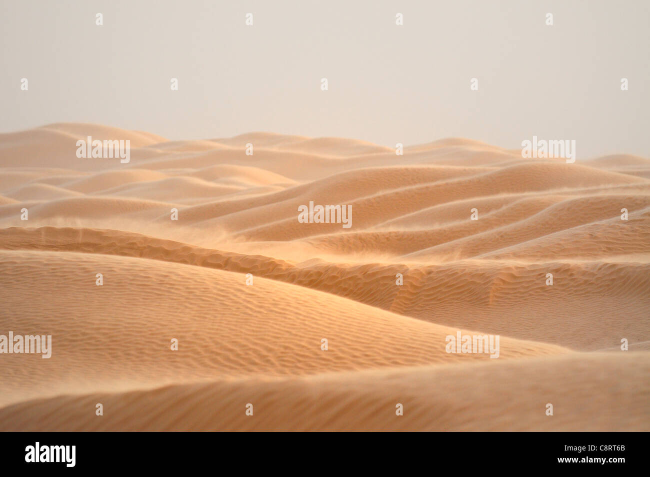 Afrika, Tunesien, nr. Ksar Rhilane. Sandsturm in den Dünen im Westen von Ksar Ghilane am östlichen Rand des Grand Erg Stockfoto