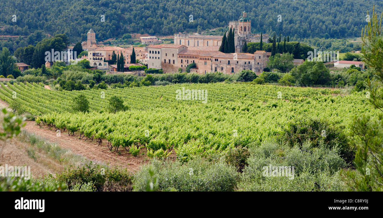 Der Königlichen Abtei von Santa Maria de Santes Creus. Santes Creus, Katalonien, Spanien. Stockfoto