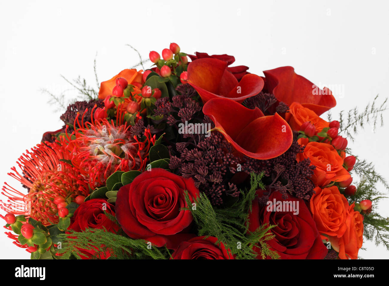 Eine Nahaufnahme von einem bunten Blumenstrauß. & Orange rote Rosen, rote Callas, rote Proteas, unbekannte lila sprays Stockfoto