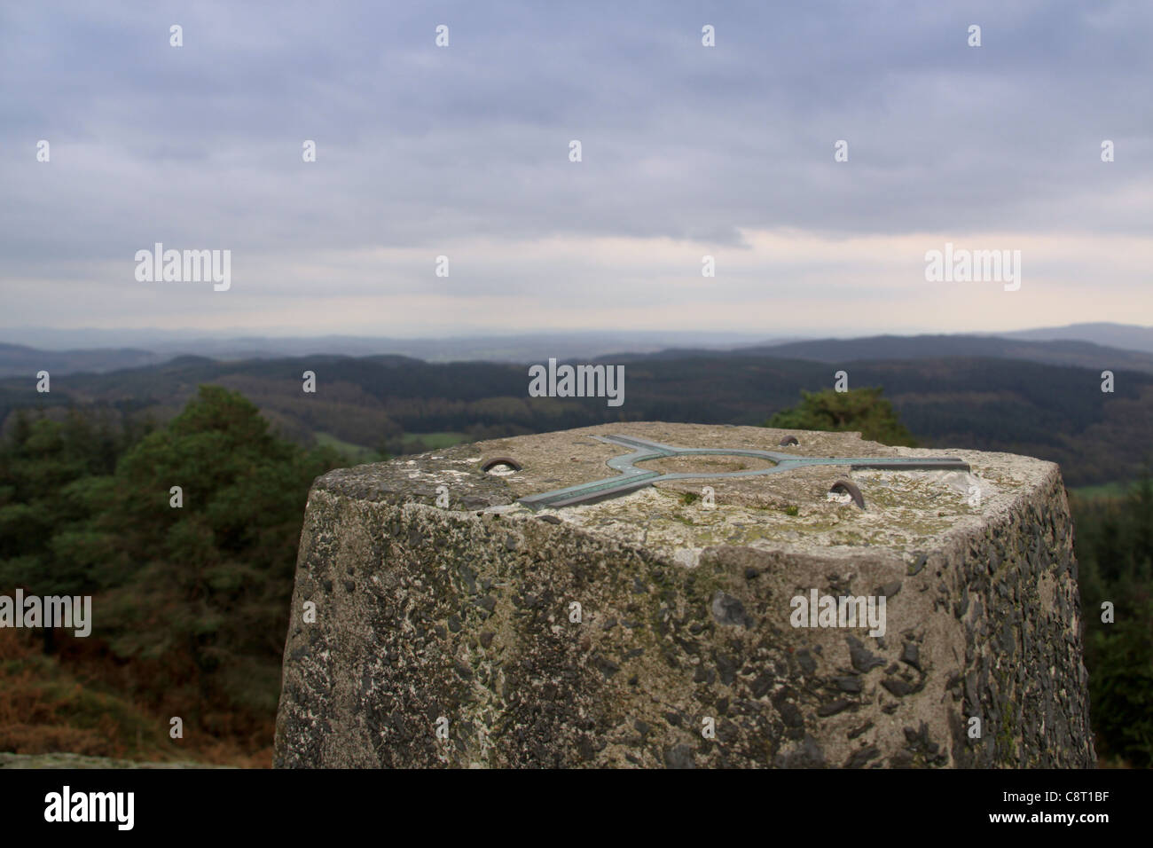 Wandern die Berge, Hügel, Wald Grizedale, UK - National Park, The Lakes, Lakeland, The Lake District, Stockfoto