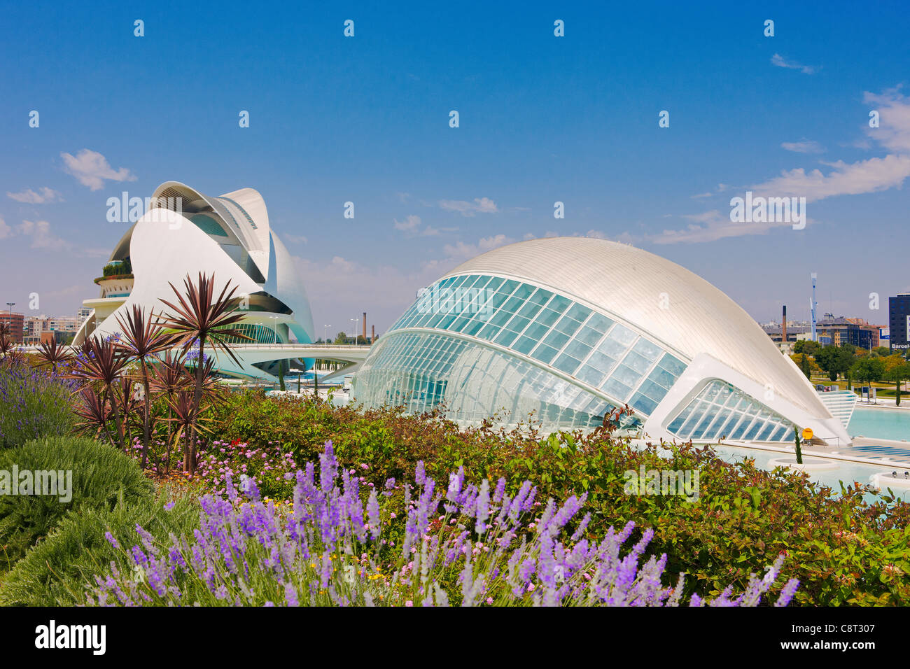 Futuristische Gebäude, die von Santiago Calatrava in der Stadt der Künste und Wissenschaften, Valencia, Spanien, entworfen wurden. Stockfoto