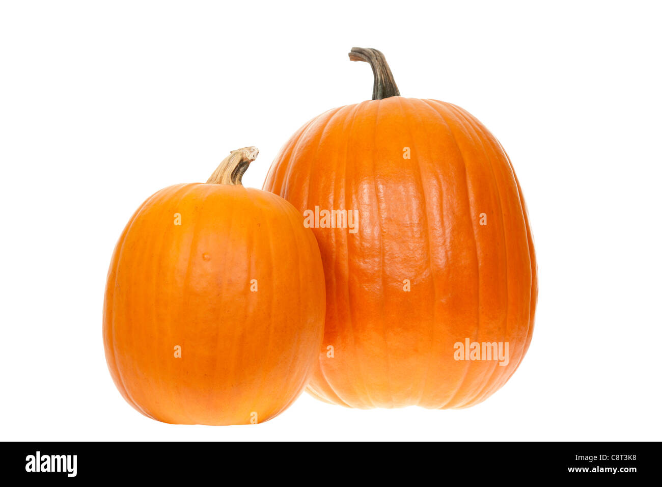 kleinen und großen Kürbis auf weißem Hintergrund Stockfoto