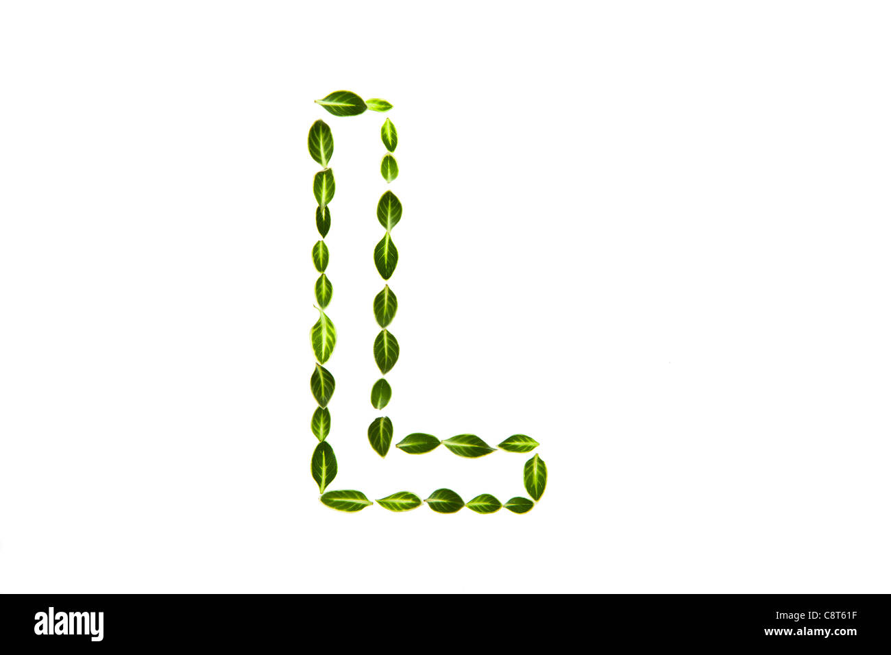 Alphabet L mit gezeichneten Blätter Stockfoto