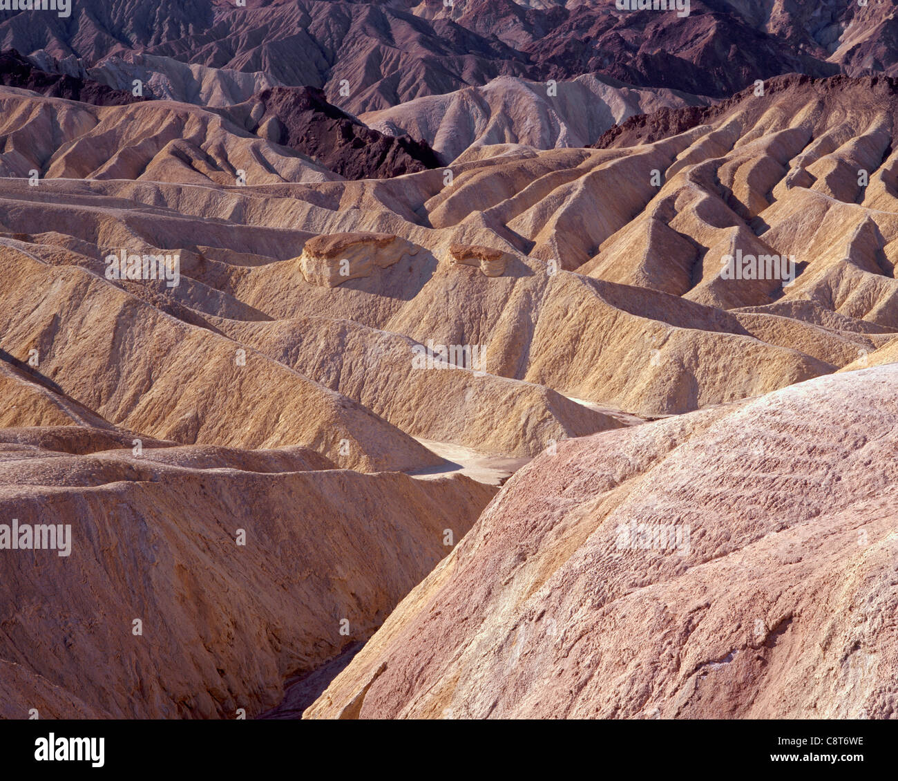 Erodierte Tonstein Formen Muster von Hügeln und Tälern, von Zabriskie Point, Death Valley Nationalpark, Kalifornien, USA Stockfoto