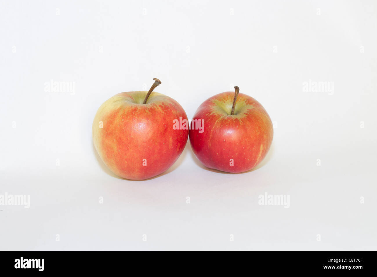 Elstar Äpfel auf weißem Hintergrund Stockfoto