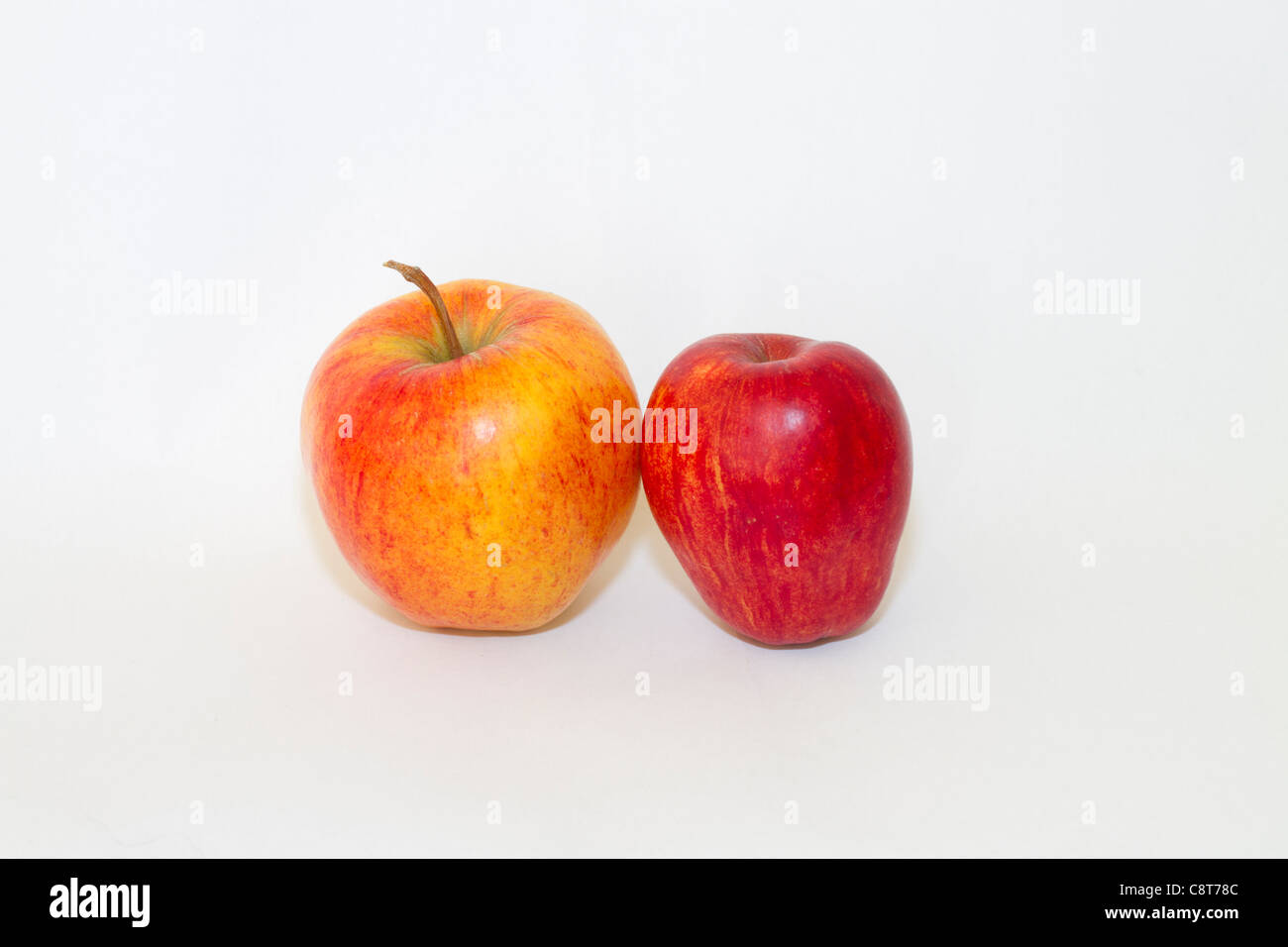 Gala Äpfel auf weißem Hintergrund Stockfoto