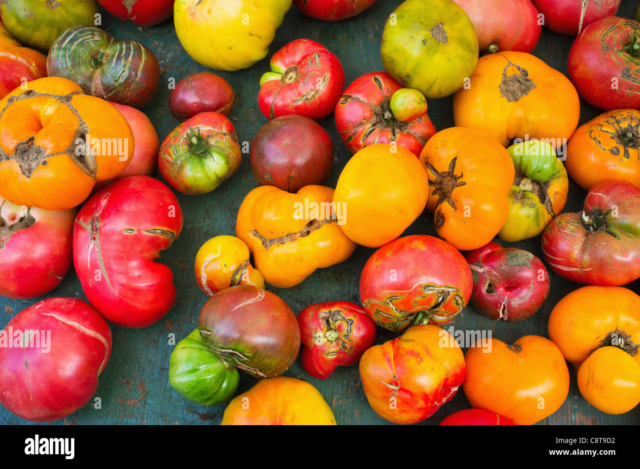 USA, New York City, Heirloom tomatoes Stockfoto