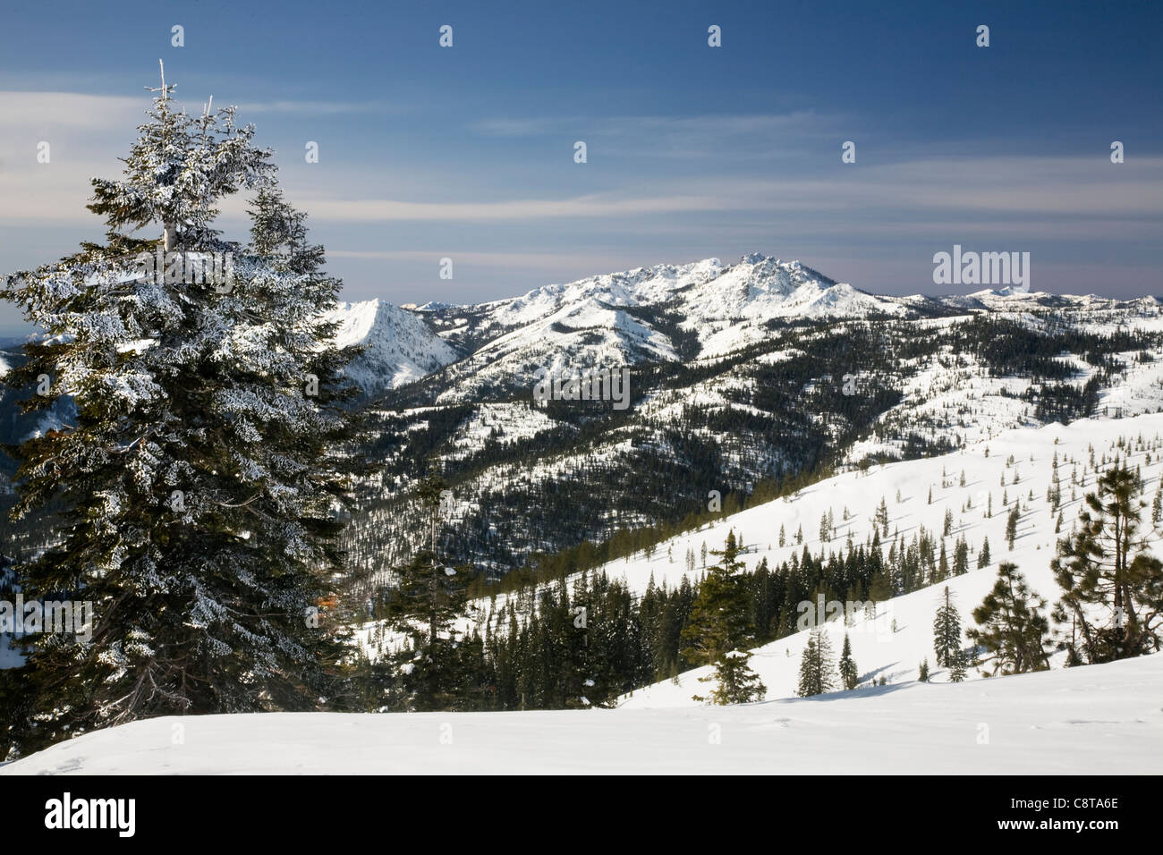 CA01097-00... Kalifornien - die Klamath-reichen von Burg Klippen Wildnis in der Shasta-Dreiheit National Forest. Stockfoto